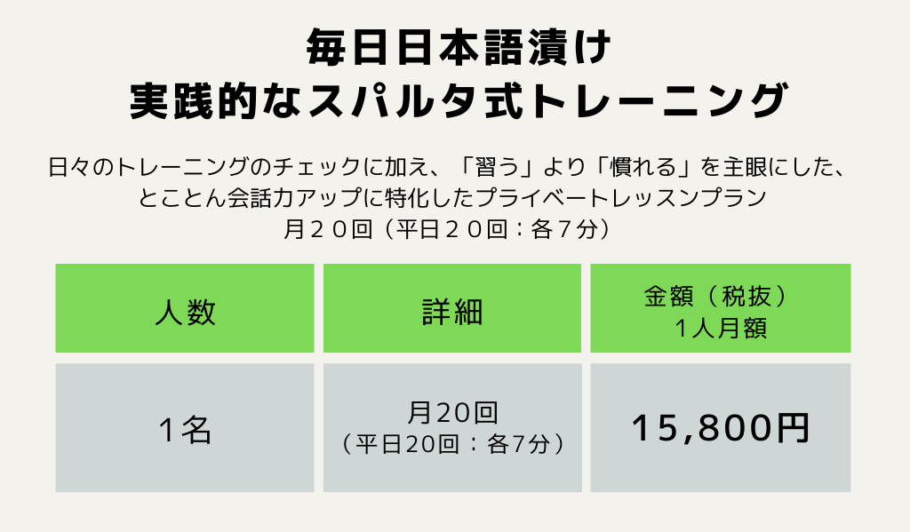 毎日日本語漬け実践的なスパルタ式トレーニング1名月20回15800円